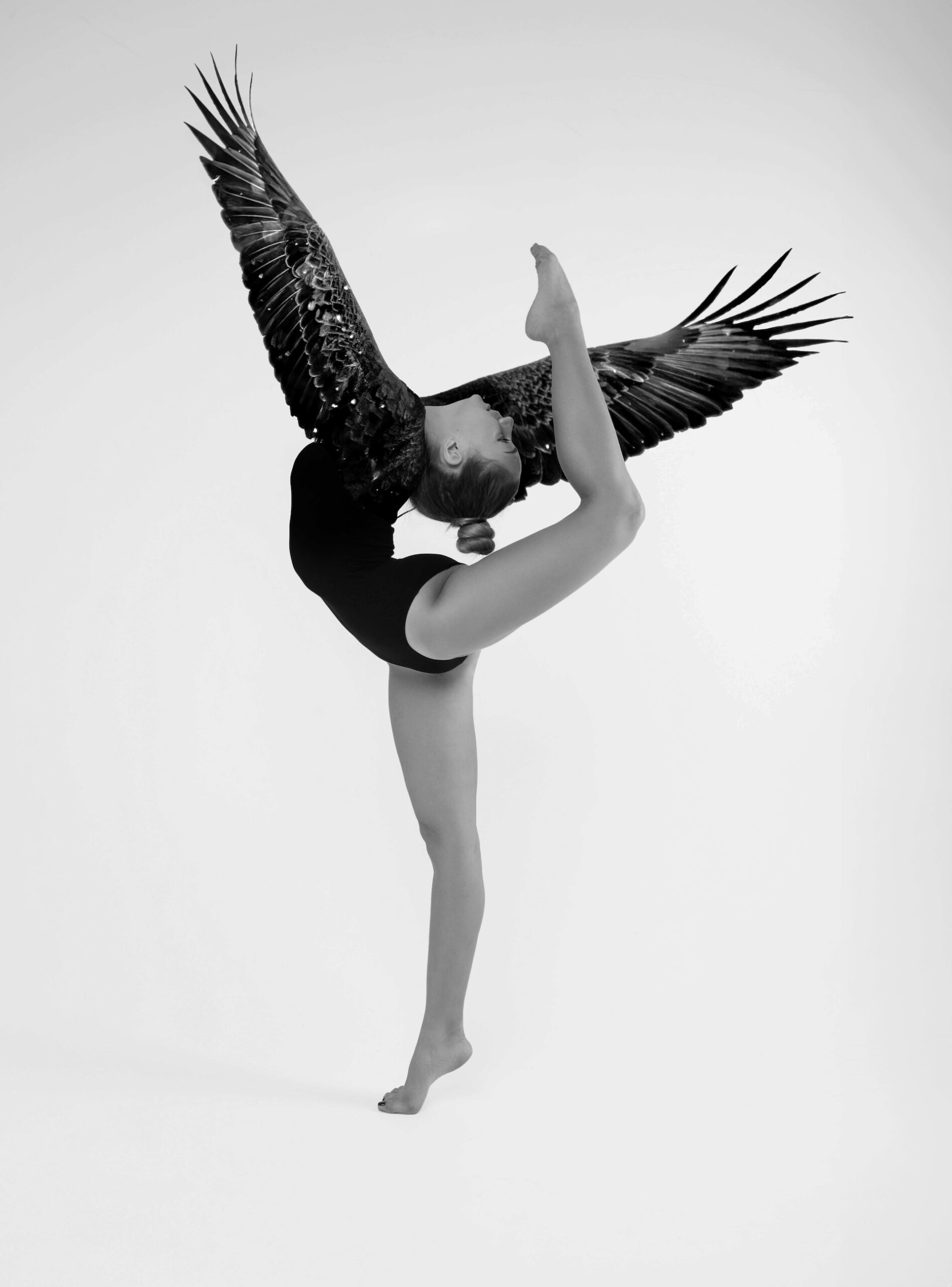 Given Wings. October 25 2024. 2