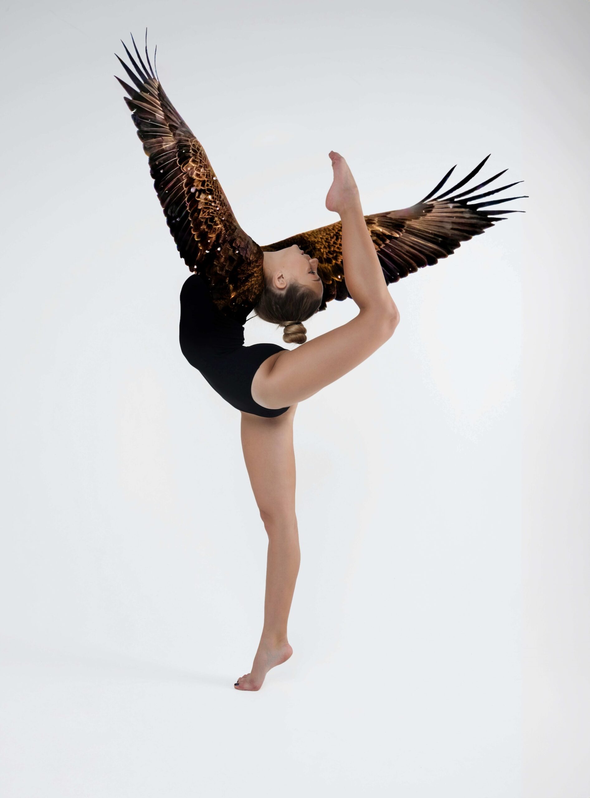 wing-project-color copy 2