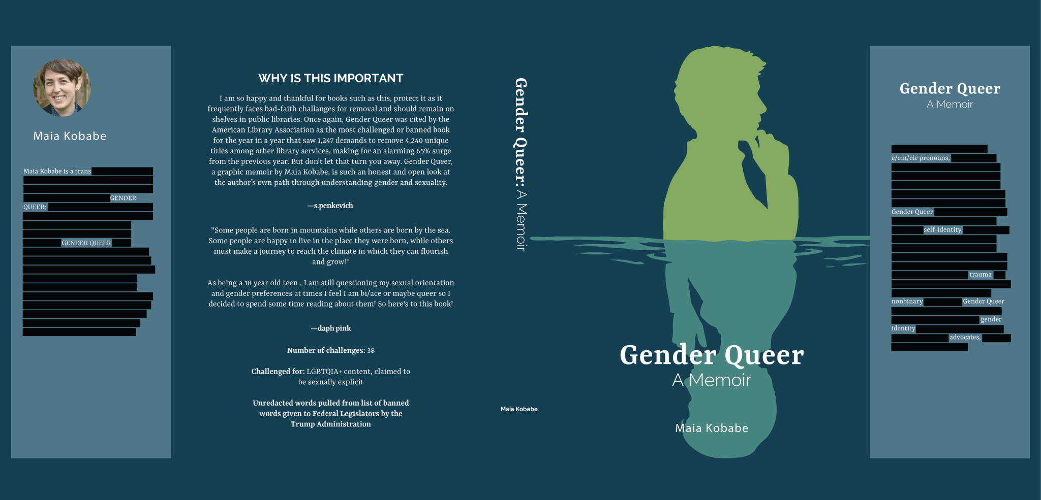Novel Redesign copy 2_Gender Queer